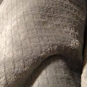 Meet your Posher, Daisy